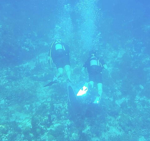 Martinique Plongée - Snorkeling - Chasse - Apnée-Trois-Ilets必去景点