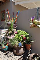 Travellers Rest主图