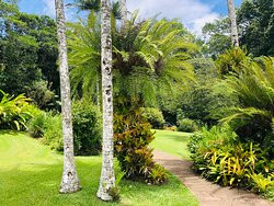 Lake Barrine-Yungaburra必去景点