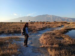 Rio Los Mesquitez-Cuatro Cienegas必去景点