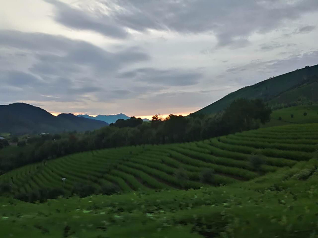 帐篷客·溪龙茶谷度假酒店主图