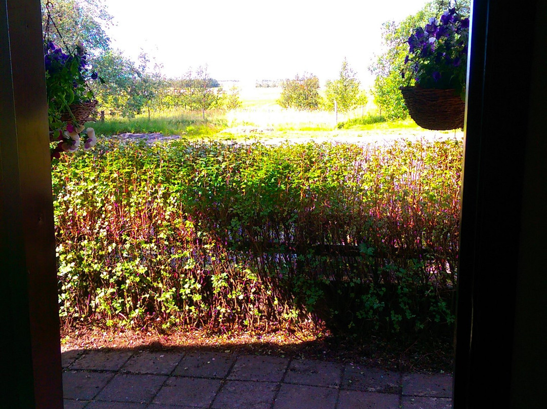 Hlidarbol Farm Guesthouse主图