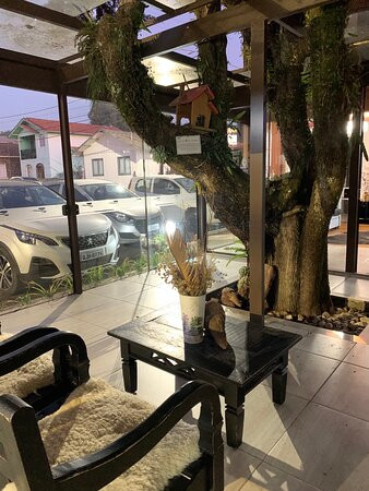 Hotel Morada dos Pinheiros主图