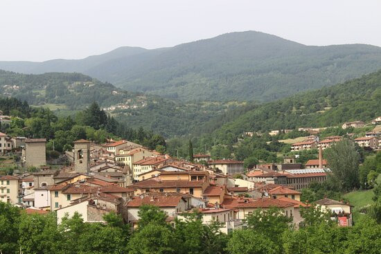 Parco Nazionale delle Foreste Casentinesi, Monte Falterona e Campigna景点图片