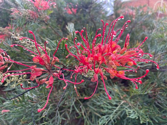 Shire Hall-拉什沃思必去景点