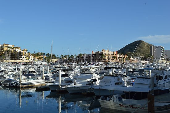 Renee's Fine Jewelry-Southport必去景点