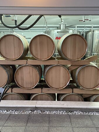 Winery Kovac景点图片