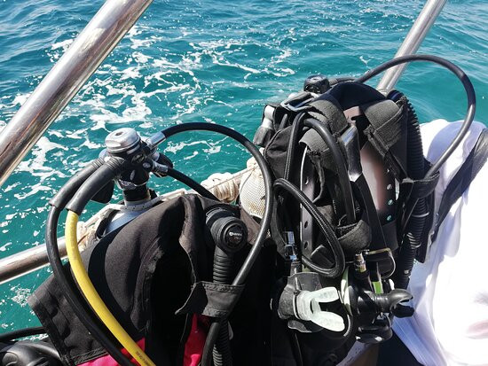 Sasa Sub Diving Center-切萨雷奥港必去景点