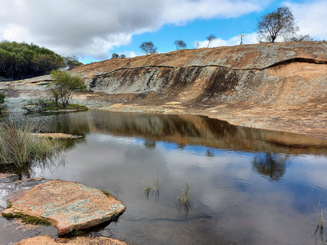 Njaki Njaki Aboriginal Cultural Tours