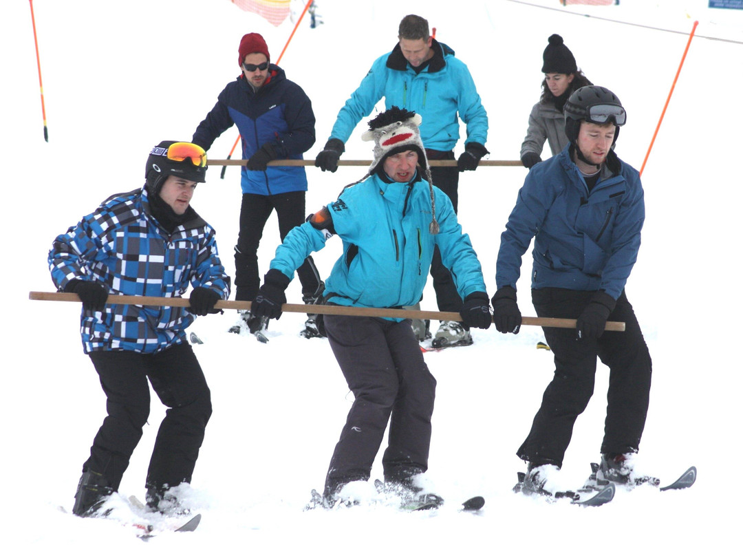 Parallel Skiing