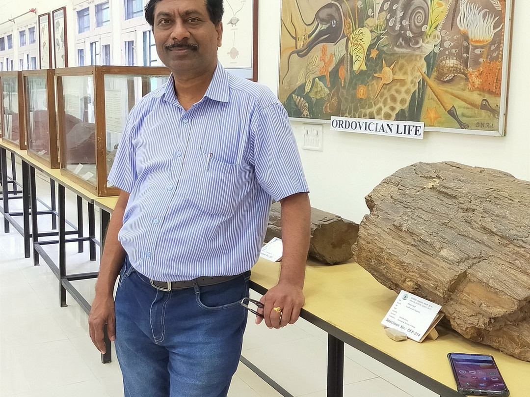 Shivalik Fossil Park景点图片