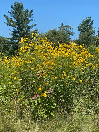 Claridon Woodlands-Chardon必去景点