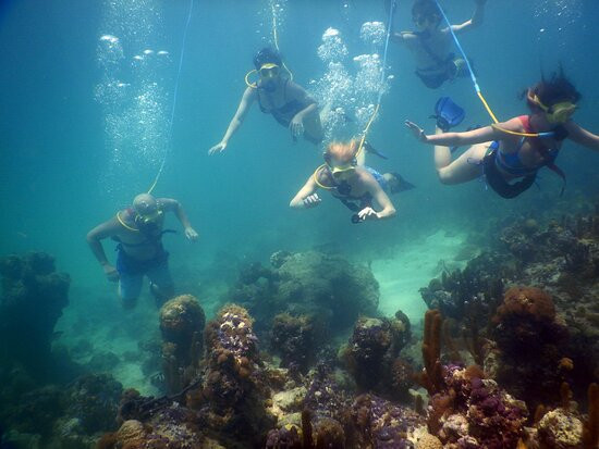 SNUBA Turks and Caicos-普罗维登西亚莱斯必去景点