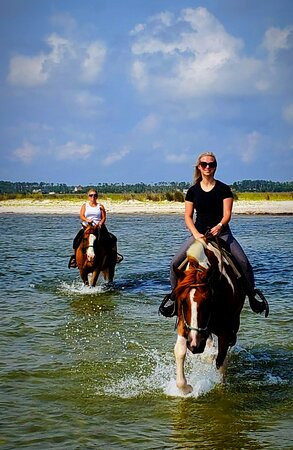Outer Banks Riding Stables景点图片
