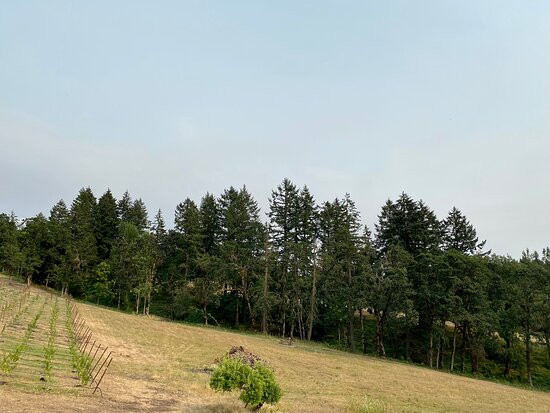 St. Innocent Winery-Jefferson必去景点