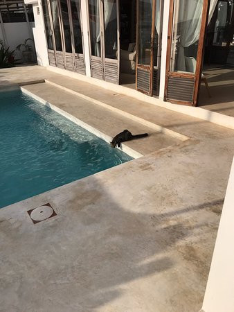 La Villa De Victor主图