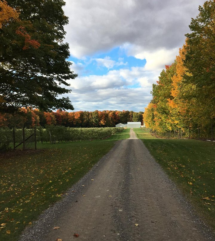 Vergers Rockburn Orchards-Hinchinbrooke必去景点