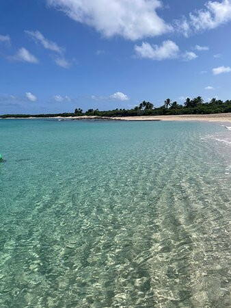 East Coast Water Taxi-法哈多必去景点