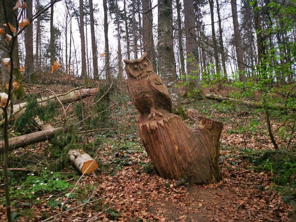 Benzenschwiler Kinderweg