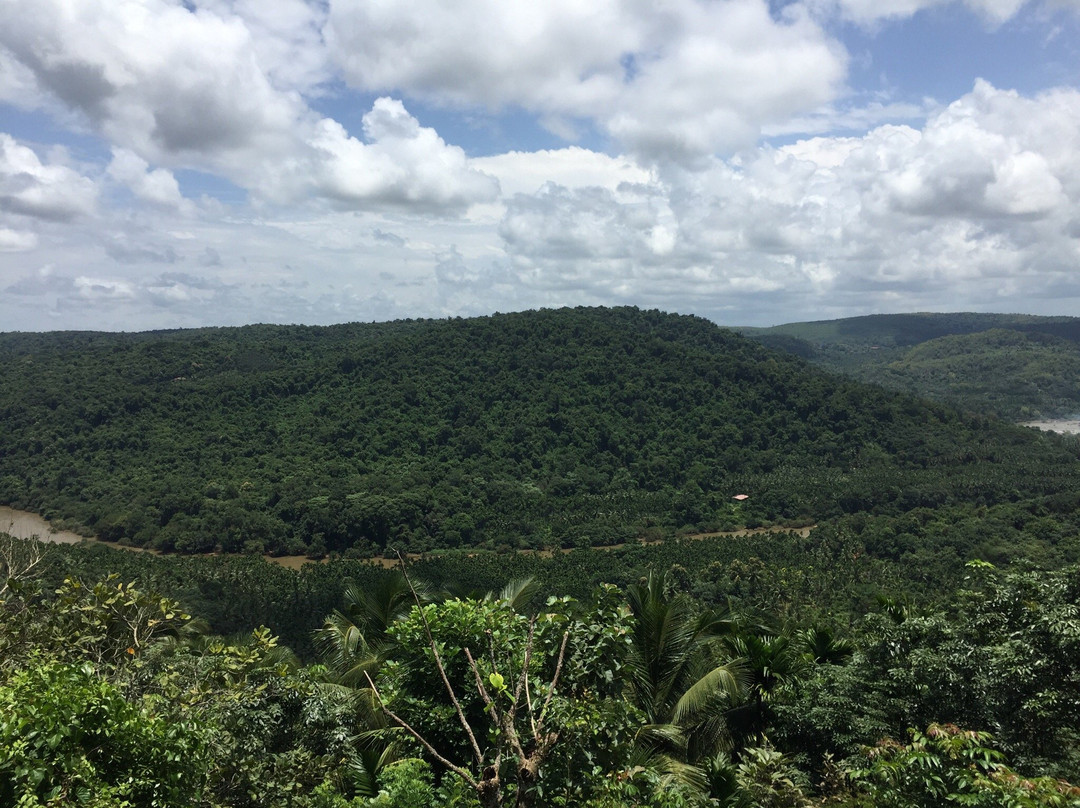 Thonikadavu Green Hills