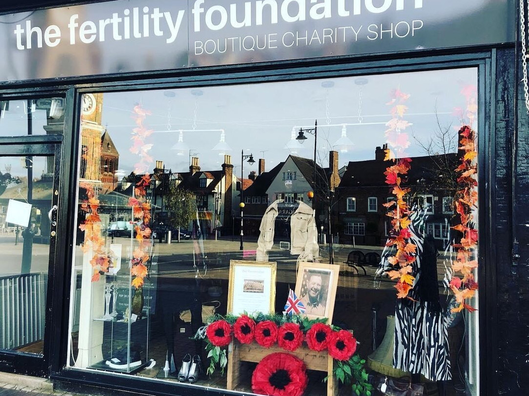 The Fertility Foundation Charity Shop Hoddesdon景点图片