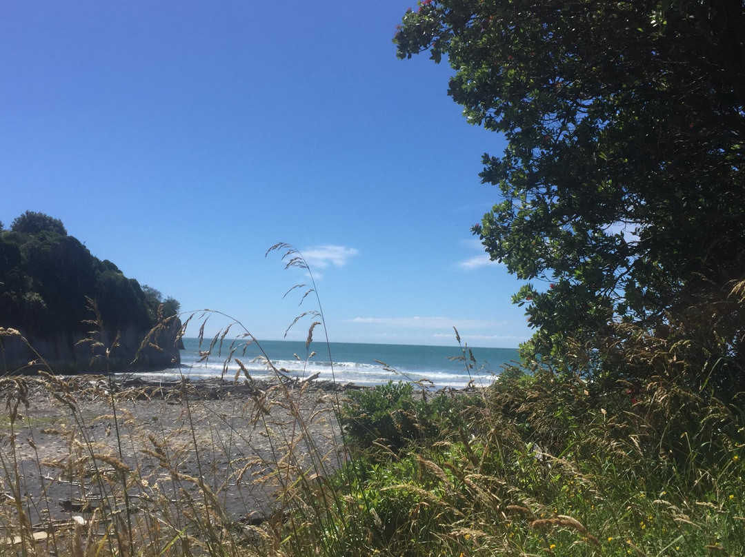 Onaero Bay Holiday Park