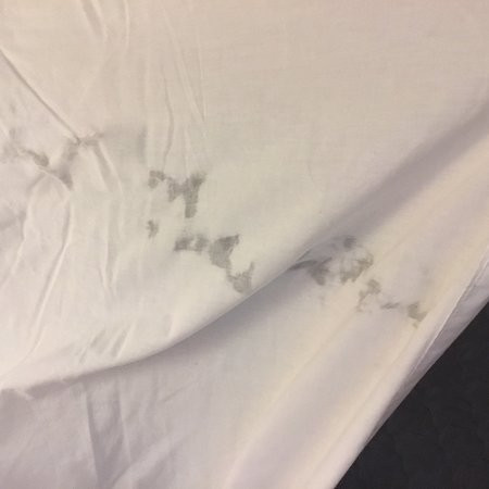 Island View Lodge主图