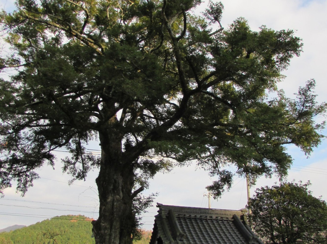Saiho-ji Temple-丹波篠山必去景点