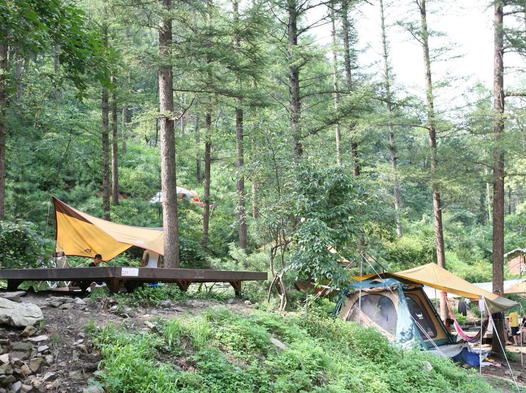 杨平郡旅游景点-Jungmisan Mountain Recreational Forest
