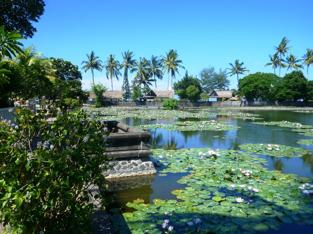 Lotus Lagoon景点图片