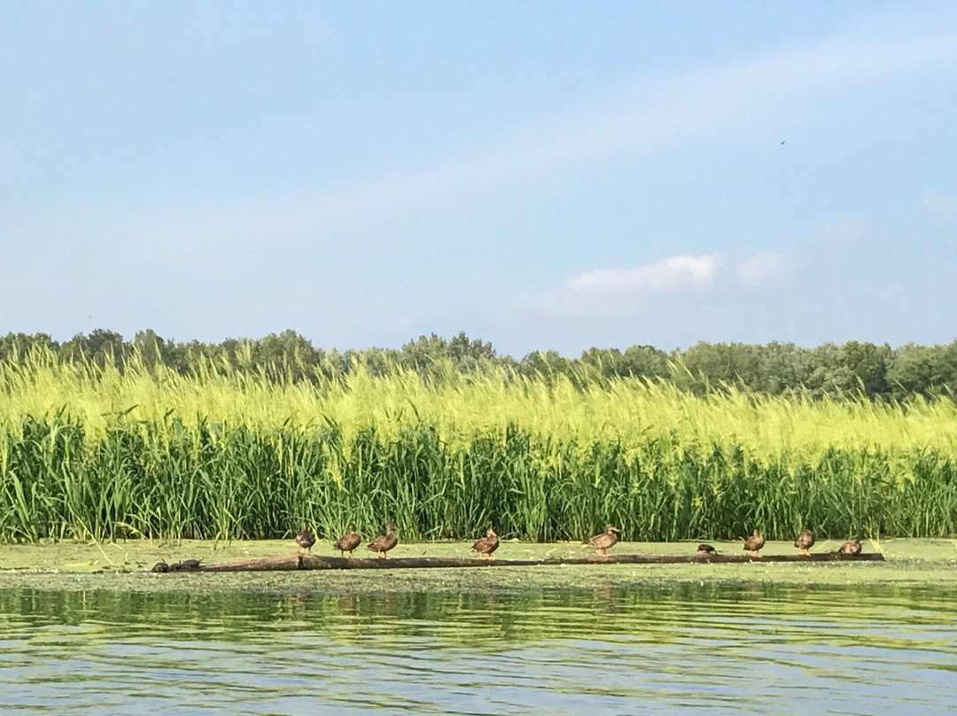 克伦威尔旅游攻略图片
