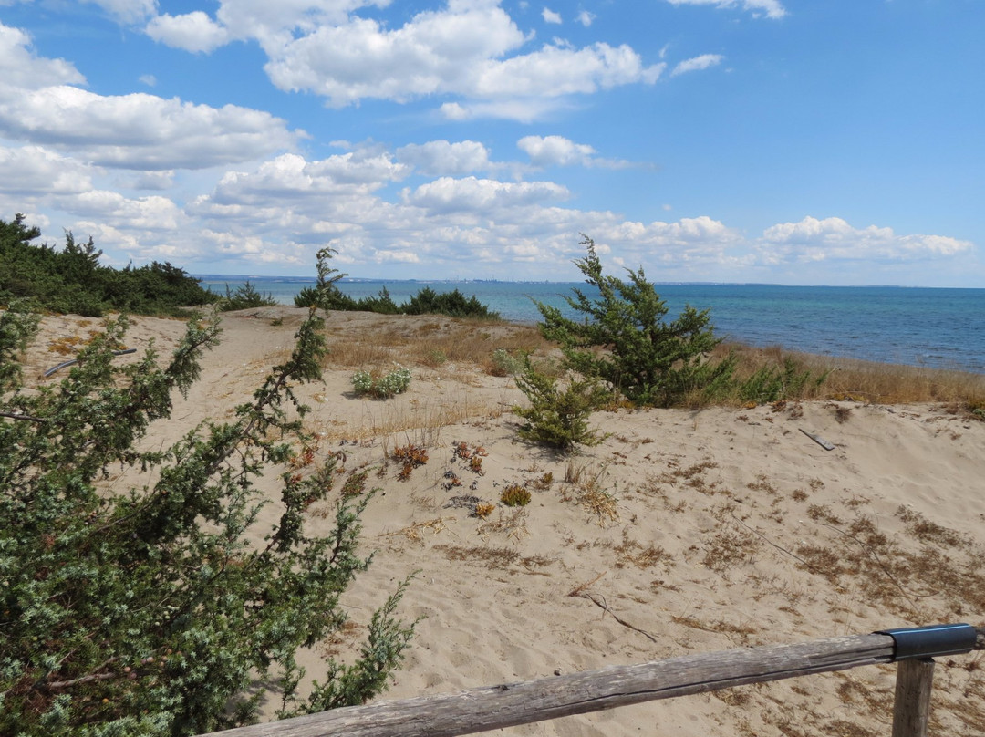 Castellaneta Marina旅游攻略图片