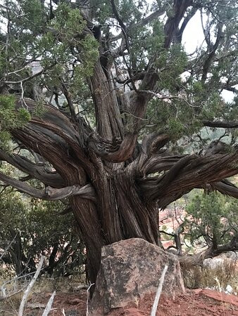 Inner Journeys-塞多纳必去景点