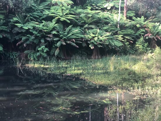 Lake Elizabeth-Forrest必去景点