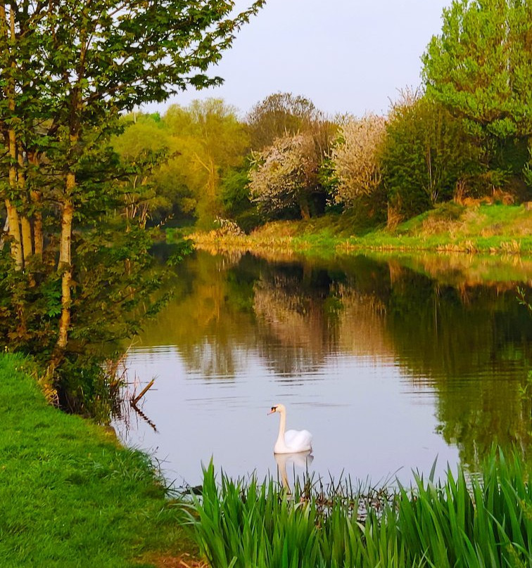Leinster Taxi-都柏林必去景点