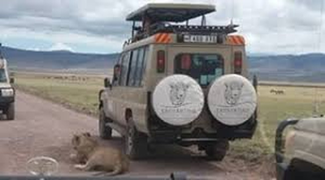 Enchanting Tanzania Safaris-阿鲁沙必去景点