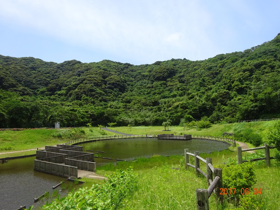 Izumi Shinsui Park-八丈町必去景点