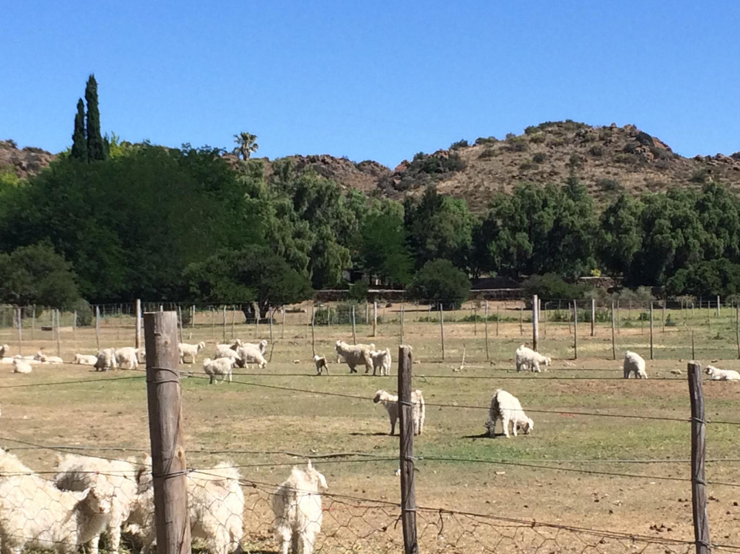 Nieu-Bethesda酒店住宿-Doornberg Guest Farm