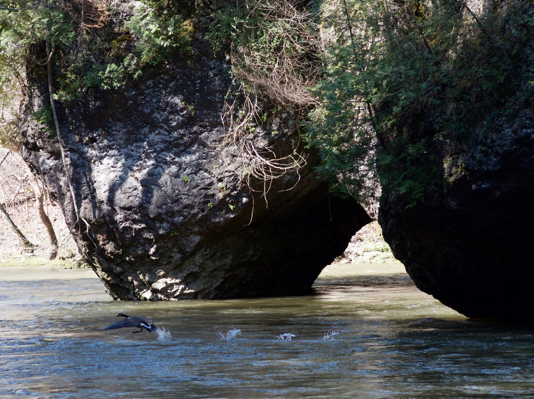 Bainbridge - Ross County旅游攻略图片