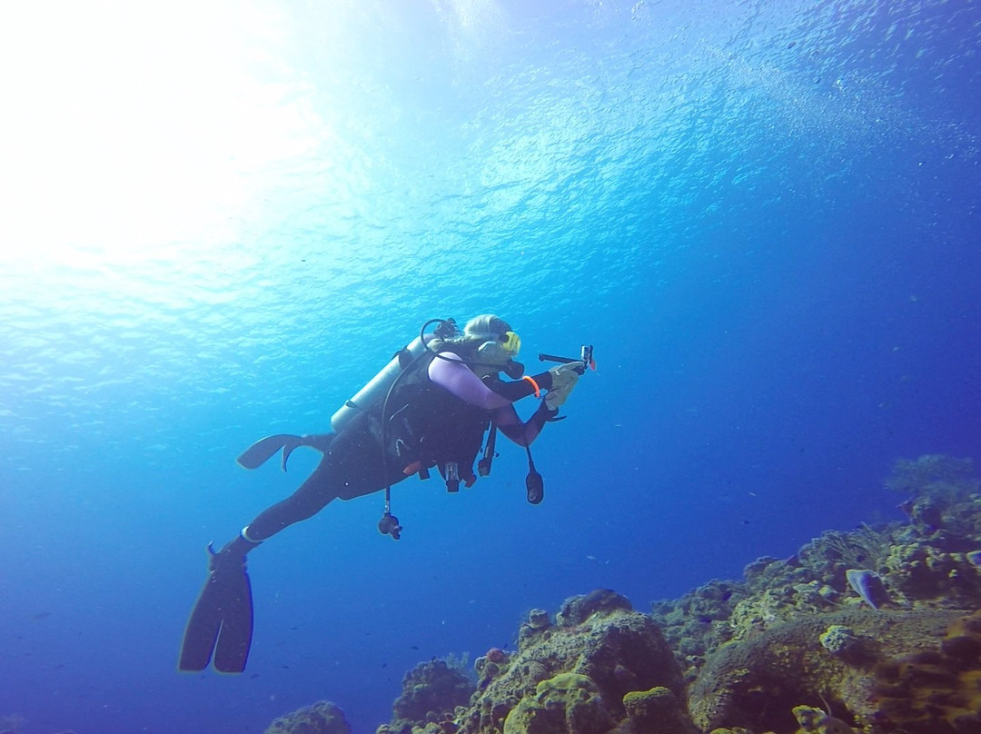 San Miguel de Cozumel旅游攻略图片