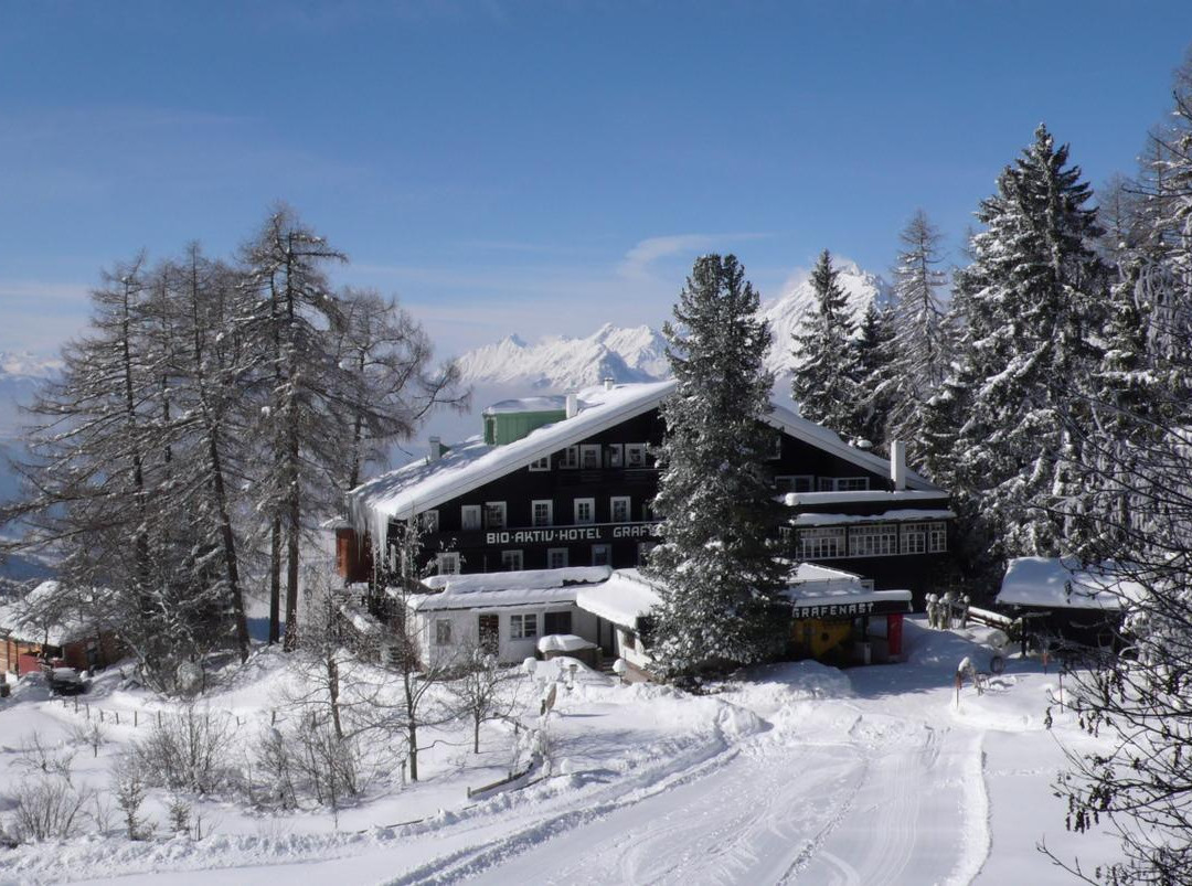 Schwaz酒店住宿-Hotel Grafenast