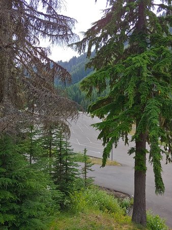 Crystal Mountain Hotels主图