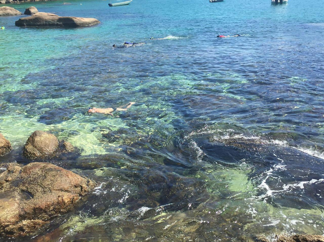 Picinguaba旅游攻略图片