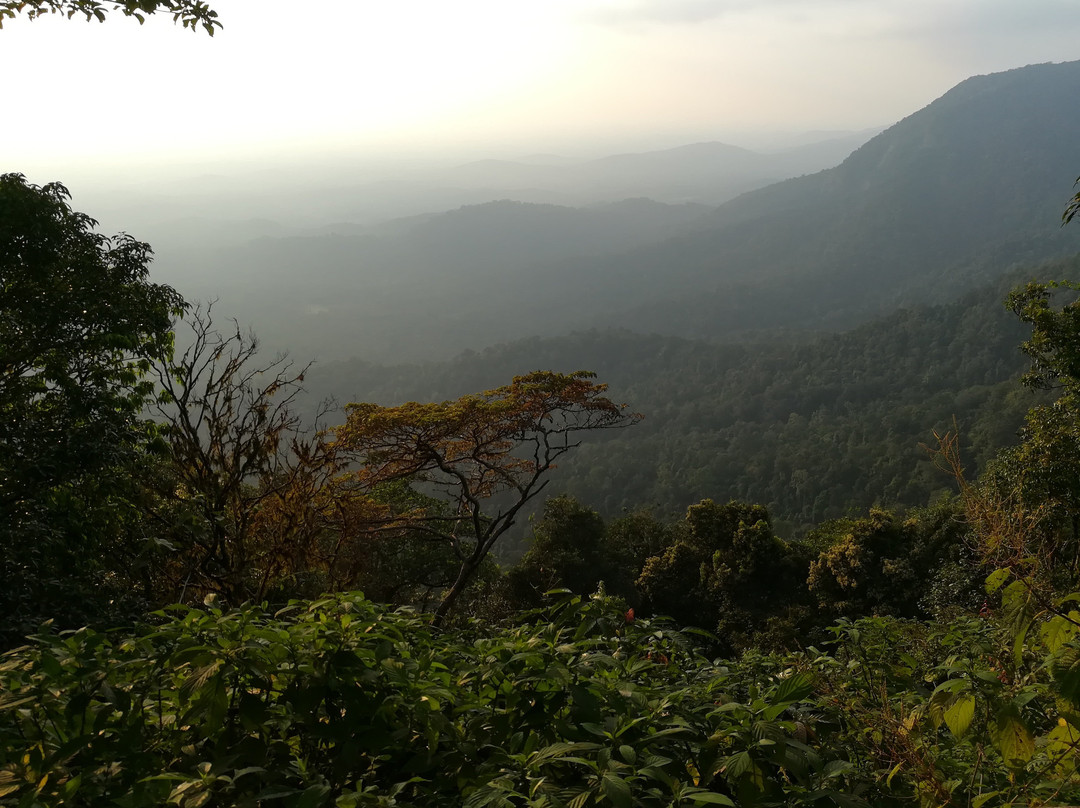 Agumbe Sunset View Point景点图片