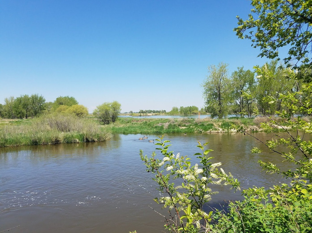 Poudre River Trail