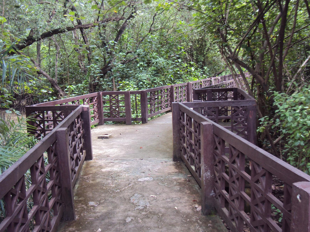 Sky View Tower and Mangrove Research Center景点图片