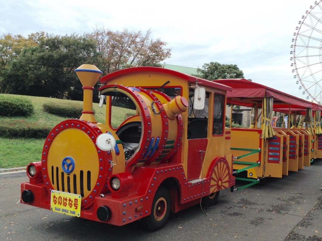 Park Train