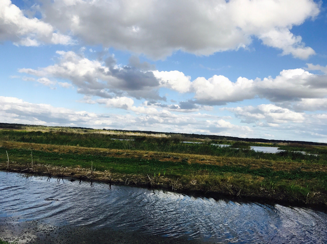 Lake Apopka Wildlife Drive