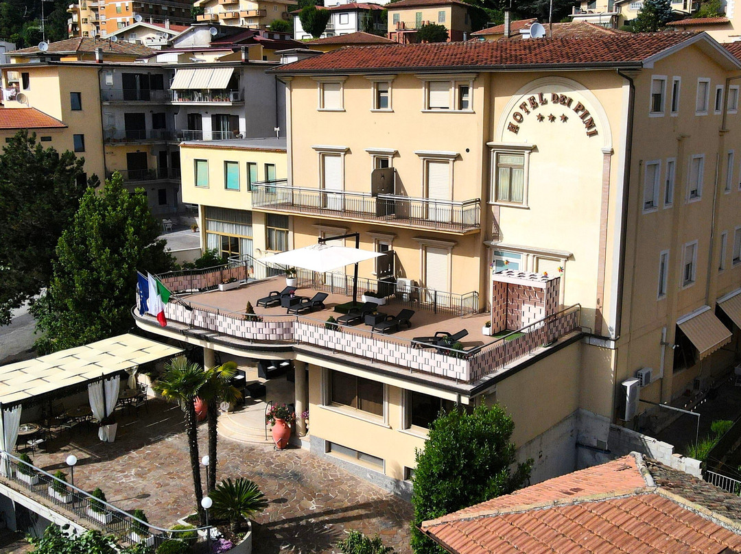 菲乌吉酒店住宿-Hotel Dei Pini