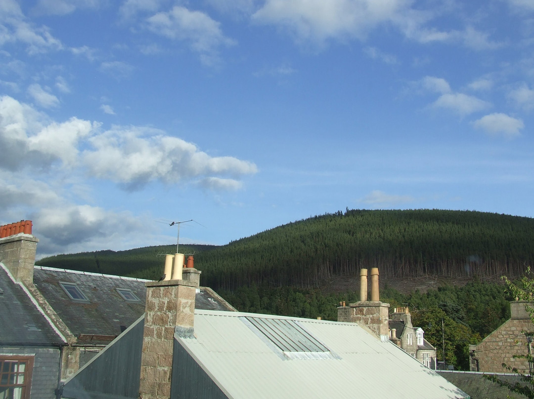 The Green Inn Rooms